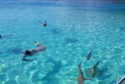 Snorkeling excursion, discovery of the lagoon, small group. - Four snorkeling moments: rope-tow, sandbank wildlife, and two reef stops