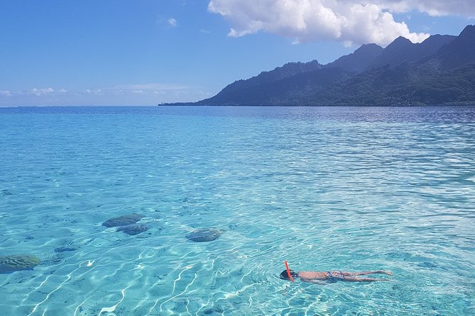 Snorkeling excursion, discovery of the lagoon, small group. - Snorkeling gear and what you still need to pack