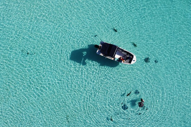 Snorkeling excursion, discovery of the lagoon, small group. - Food and drink on the water: small extras with big morale