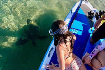 Snorkeling for Non-Swimmers with Photos Guided Tour Wailea Beach - Gear Fit and the Little Tricks That Make Snorkeling Click
