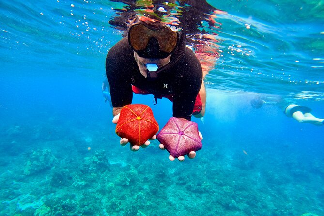 Snorkeling for Non-Swimmers with Photos Guided Tour Wailea Beach - Who This Tour Really Fits (Beginner First, Comfort Always)