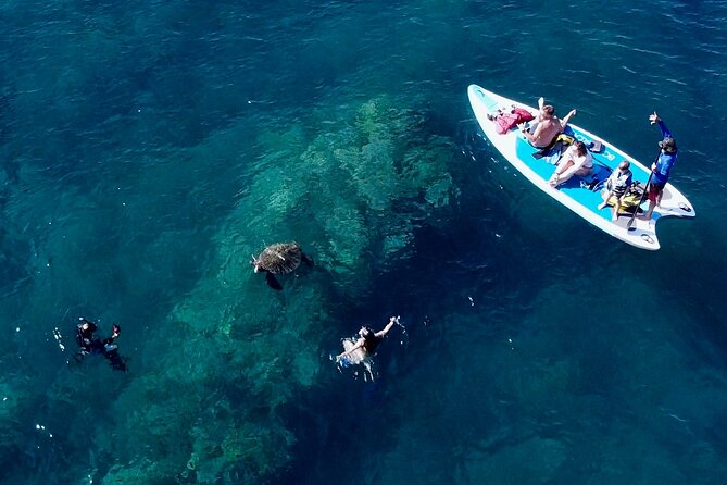 Snorkeling for Non-Swimmers with Photos Guided Tour Wailea Beach - Price and Value: Is $149 Worth It?