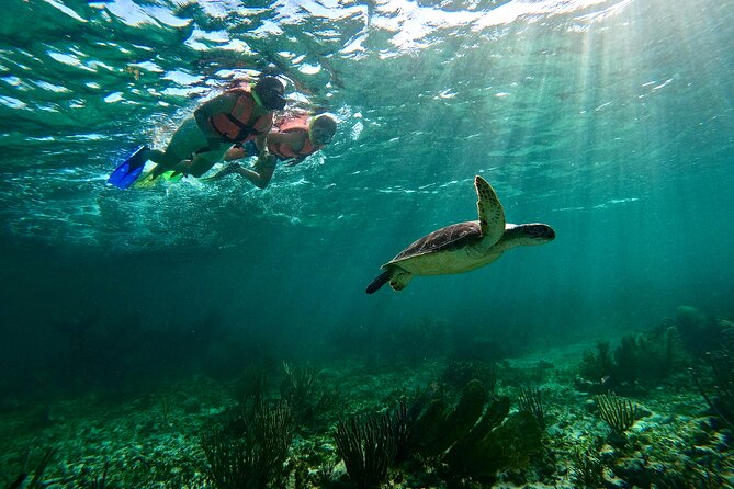 Snorkeling Guided Activity in Puerto Morelos Mexico - Two snorkeling sessions in Puerto Morelos National Park: what the timing really means