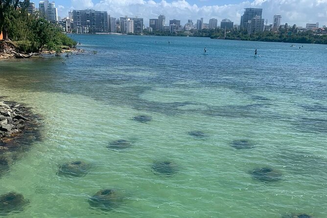 Snorkeling Guided Tour Experience in Condado Lagoon - Key highlights you’ll care about