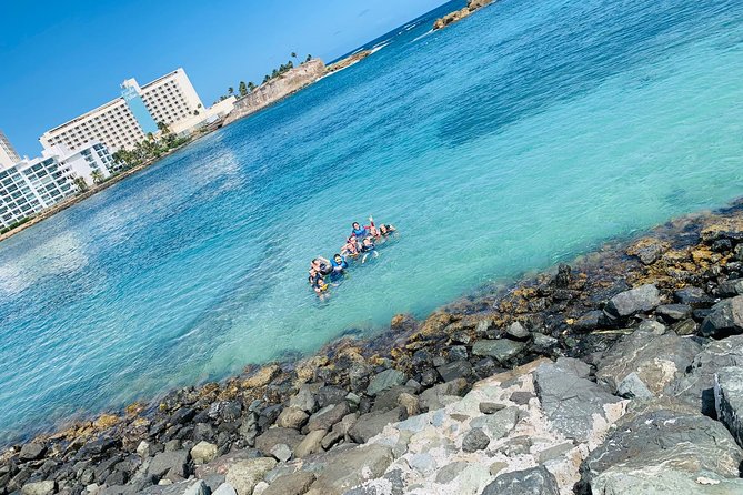 Snorkeling Guided Tour Experience in Condado Lagoon - Condado Lagoon snorkel: the calm-water option right in the city
