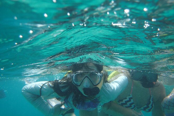 Snorkeling Guided Tour Experience in Condado Lagoon - What you’ll actually see under the surface (and why clarity can vary)
