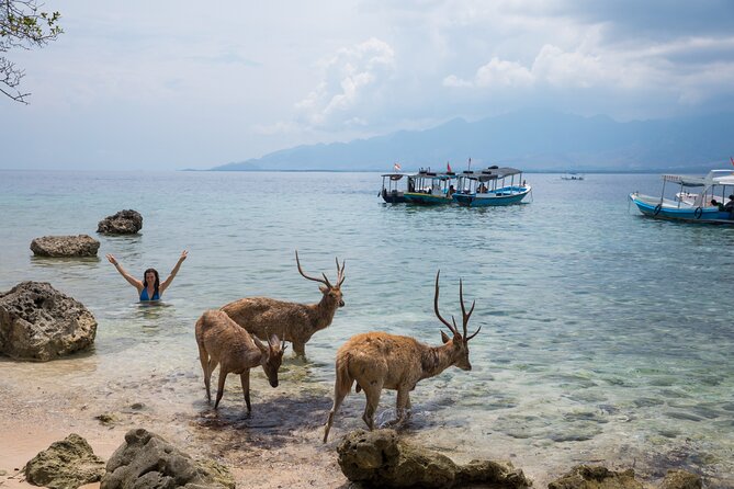 Snorkeling in Menjangan Island with Pickup and Lunch - Snorkel stop 1: the first 45 to 60 minutes at Menjangan