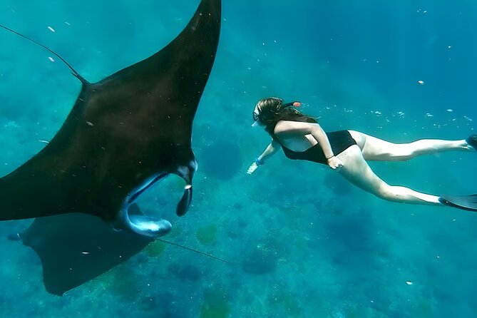 Snorkeling In Nusa Penida Departing From Bali Island - Key highlights you’ll actually care about