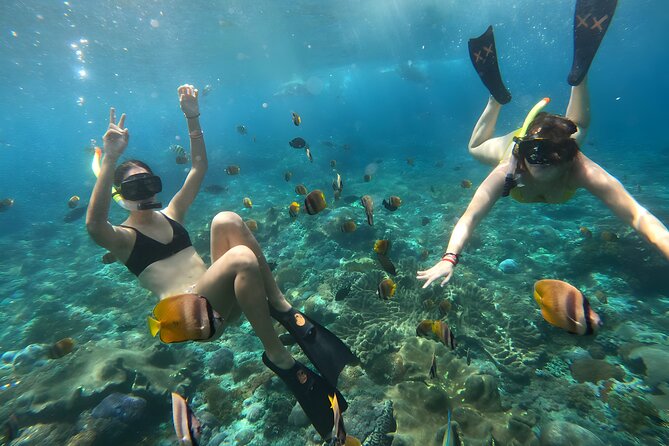 Snorkeling In Nusa Penida Departing From Bali Island - Gamat Bay: fish-focused snorkeling with a better chance to relax