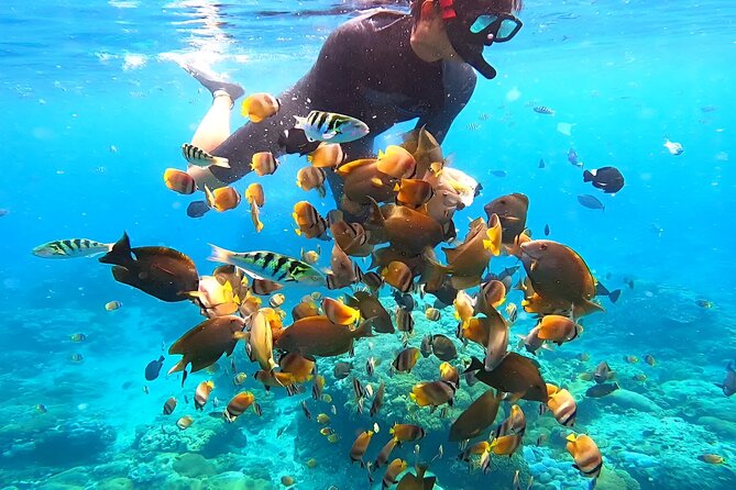 Snorkeling In Nusa Penida Departing From Bali Island - Expect public boats and shared water: how to handle the crowd factor