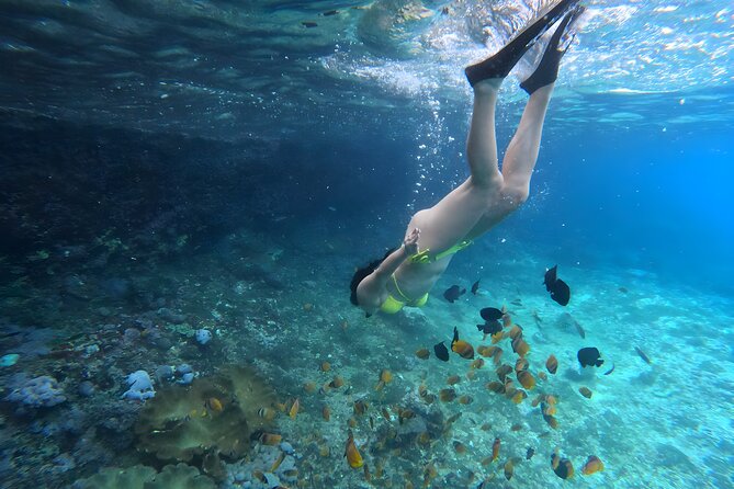 Snorkeling In Nusa Penida Departing From Bali Island - Equipment, life jackets, and GoPro: what’s included and why it matters
