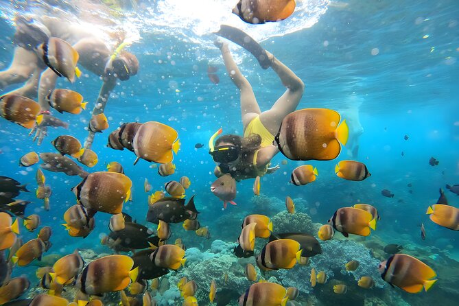 Snorkeling In Nusa Penida Departing From Bali Island - The full itinerary: what a 6-hour day really feels like