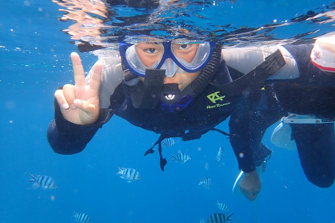 Snorkeling in the Blue Cave area【Okinawa Prefecture: Free feeding & photo images!English and Chinese speaking guide available! - Gear included, plus what you should bring anyway