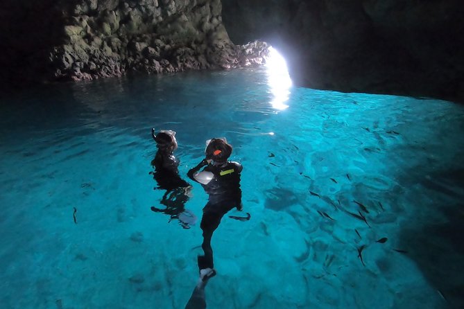 Snorkeling in the Blue Cave area【Okinawa Prefecture: Free feeding & photo images!English and Chinese speaking guide available! - Fish feeding and photo delivery: where the value really hits