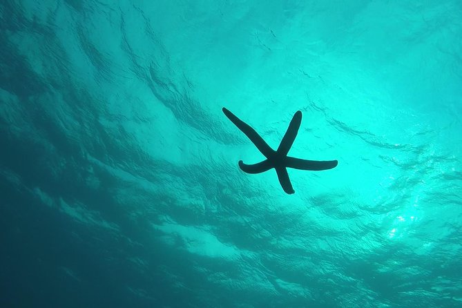 Snorkeling in the Blue Cave area【Okinawa Prefecture: Free feeding & photo images!English and Chinese speaking guide available! - Weather, waves, and the Blue Cave spot change rule