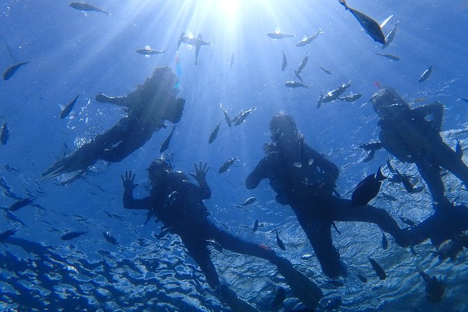 Snorkeling in the Blue Cave area【Okinawa Prefecture: Free feeding & photo images!English and Chinese speaking guide available! - Cape Maeda and the Blue Cave: stop-by-stop reality