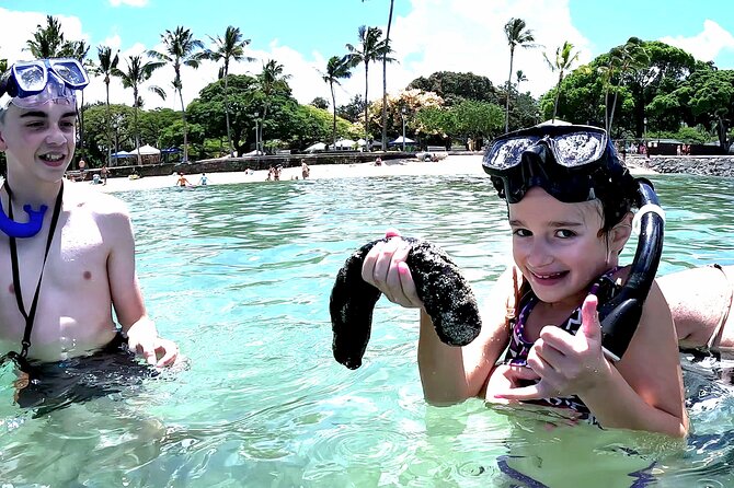 Snorkeling in Waikiki Many Fish All Levels Free Video & Pics! - Key Things to Know Before You Go