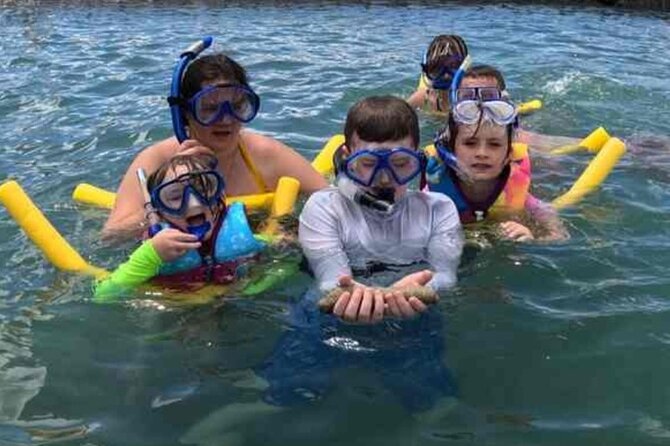 Snorkeling in Waikiki Many Fish All Levels Free Video & Pics! - Gear Location Helps: Where to Store Belongings Nearby