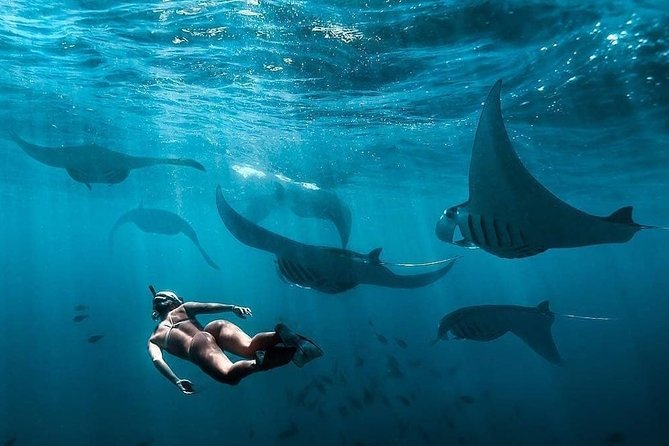 Snorkeling Manta Ray Safari in Nusa Penida - What’s Included (and Why It Matters): Gear, Water, Towel, and Photos