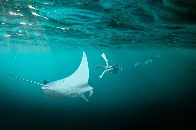 Snorkeling Manta Ray Safari in Nusa Penida - Stop by Stop: What to Expect at Manta Bay, Crystal Bay Beach, Gamat Bay, and Wall Point
