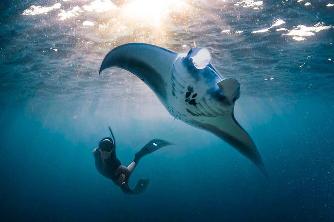 Snorkeling Manta Ray Safari in Nusa Penida - Crowds, Rush, and Boat Feel: When the Day Changes