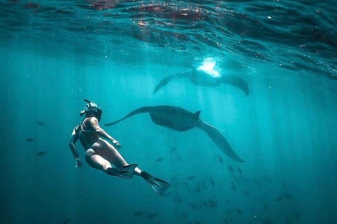 Snorkeling Manta Ray Safari in Nusa Penida - Price and Value: Is $15.28 Worth It?