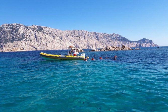 Snorkeling marine protected area Tavolara - Tavolara Marine Protected Area: why the water feels so special