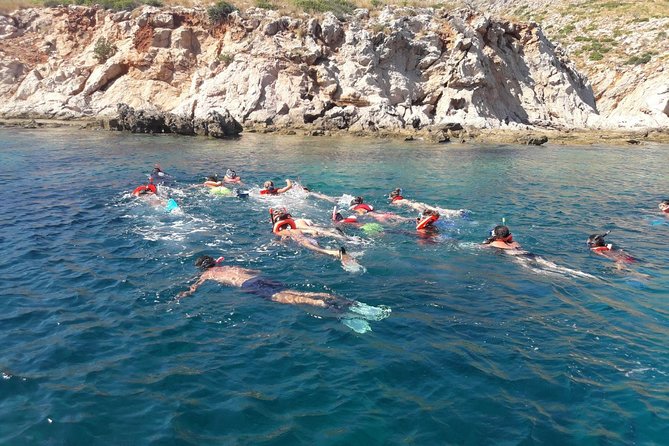 Snorkeling marine protected area Tavolara - Stop-by-stop: what you’ll see around Tavolara (and why it changes)