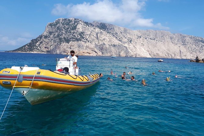 Snorkeling marine protected area Tavolara - The guides: what clear instruction looks like in practice