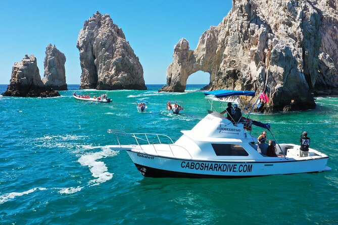 Snorkeling or Swimming with Sharks in Cabo San Lucas - In the water with pelagic sharks: safety rules you should take seriously