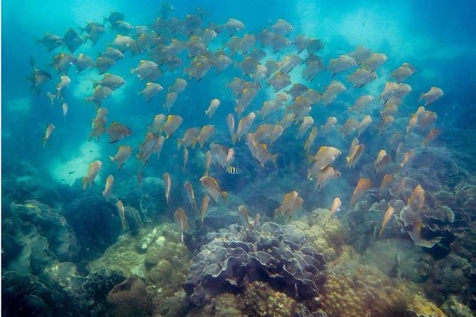 Snorkeling ( start at Ko Kut) - Boat-Trip Timing: A Realistic 6 Hours on the Water