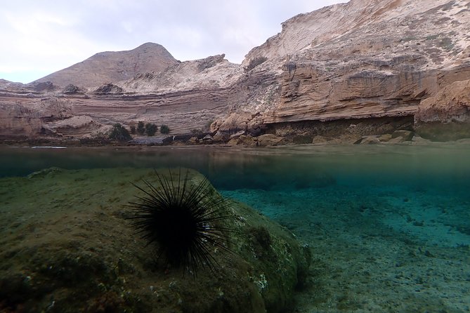 Snorkeling Tour - Gear quality: masks, fins, and wetsuits that are ready to go