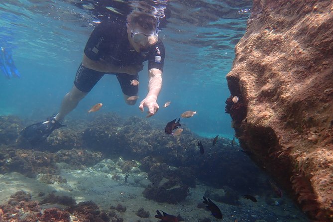 Snorkeling Tour - Matias’s guide work and Sherlock the Portuguese Water Dog