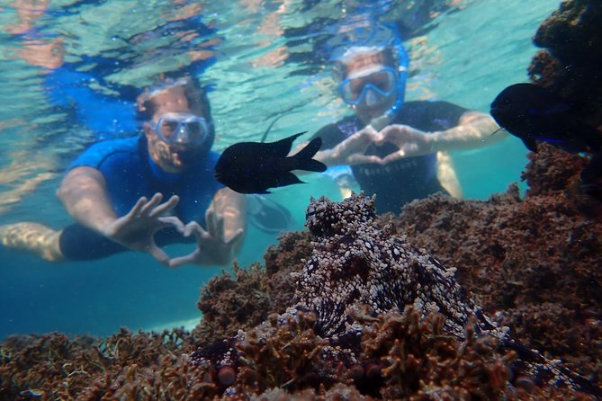 Snorkeling Tour - Transport, timing, and what the 3 hours feel like
