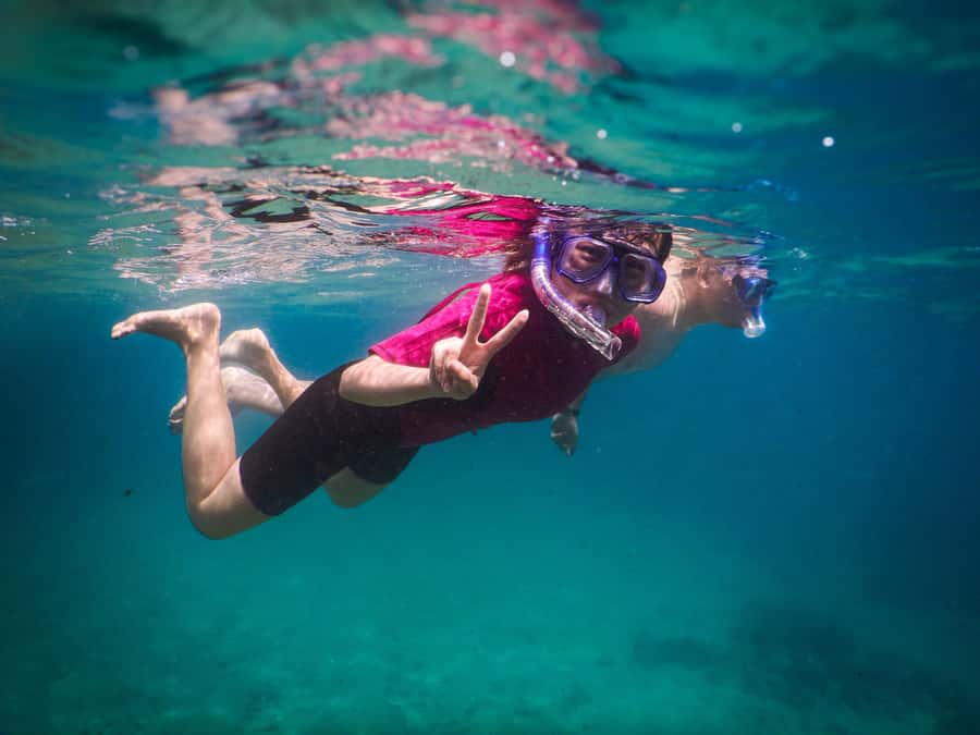 Snorkeling Tour: Discover Sydney’s impressive sea life - Bronte–Coogee Aquatic Reserve: Fish and Marine Life You Can Actually Expect