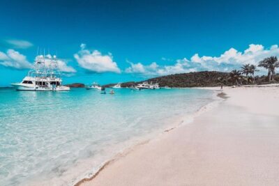 Snorkeling Tour to Vieques Island only 30 minutes away! - Vieques underwater: reefs, fish, and the sea turtle odds