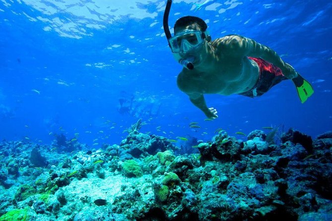 Snorkeling Tour to Vieques Island only 30 minutes away! - Who should book this (and who should skip it)