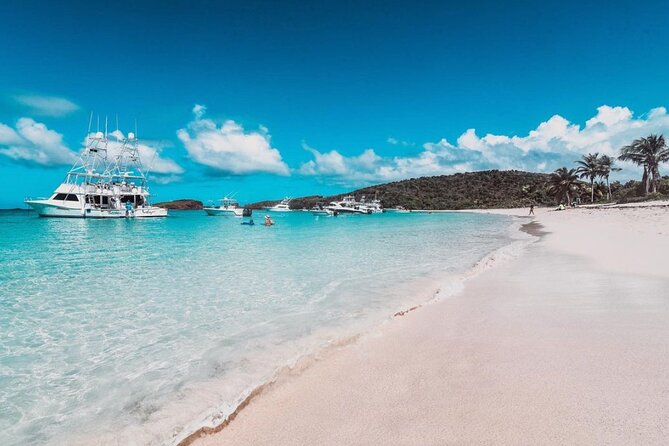 Snorkeling Tour to Vieques Island only 30 minutes away! - Vieques underwater: reefs, fish, and the sea turtle odds