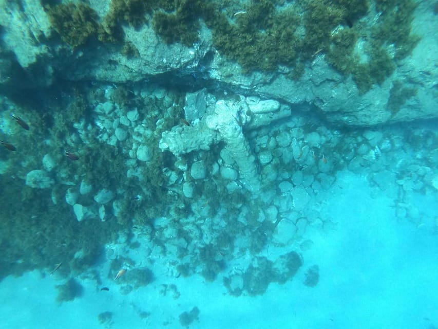 Snorkeling Tour- Vila Franca do Campo Islet - Who This Snorkeling Tour Is Best For (and Who Should Skip)