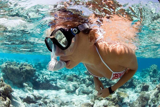 Snorkeling Tour - What you actually get for $59.28: value, not just equipment