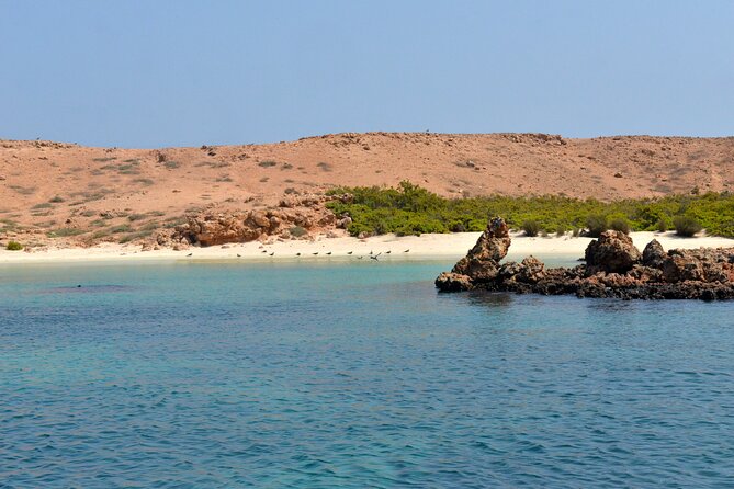 Snorkeling trips to Daymaniat Islands Sharing Trip - Key Things I’d Focus On Before You Go