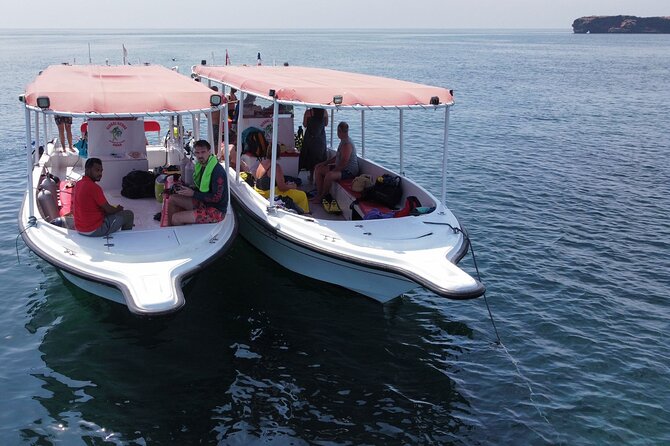Snorkeling trips to Daymaniat Islands Sharing Trip - Daymaniyat Islands: Oman’s Turtle-and-Coral Nursery