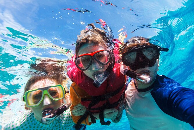 Snorkeling trips to Daymaniat Islands Sharing Trip - Gear, Crew, Snacks, and Why This Feels Easy for Beginners