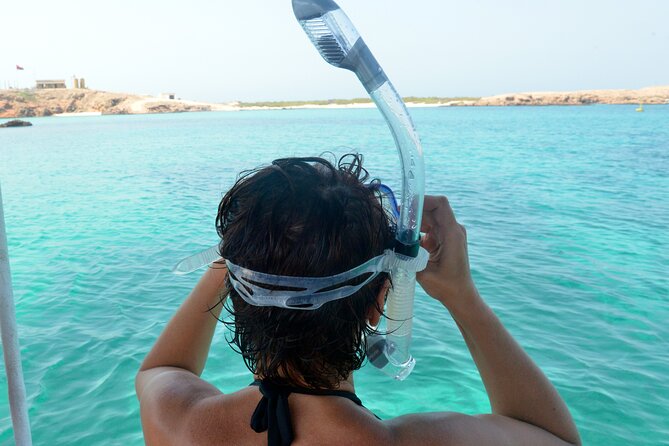 Snorkeling trips to Daymaniat Islands Sharing Trip - Shared Boat Ride, Private-Group Listing: How It Works in Practice