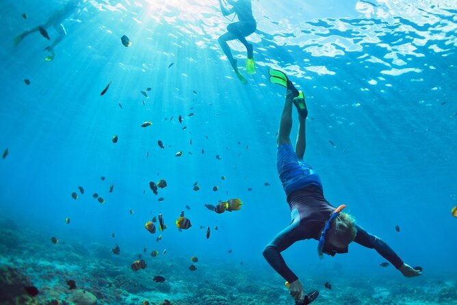 Snorkeling trips to Daymaniat Islands Sharing Trip - Best Times to Go and What Season Changes