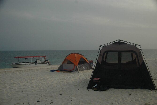 Snorkeling trips to Daymaniat Islands Sharing Trip - Practical Tips to Make Snorkeling Feel Comfortable