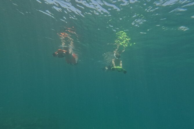 snorkeling ,Turtle Watching in Cyprus - The 4-Hour Flow: Safety Briefing, Water Setup, and Time in the Bay