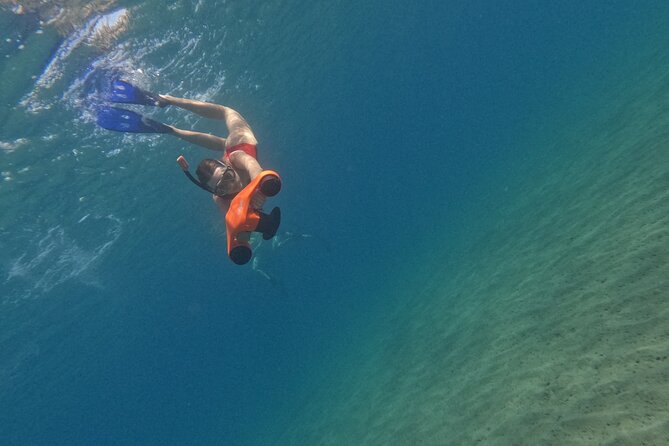 snorkeling ,Turtle Watching in Cyprus - Small Group Snorkeling (7–9): Easier Control, Calmer Encounters