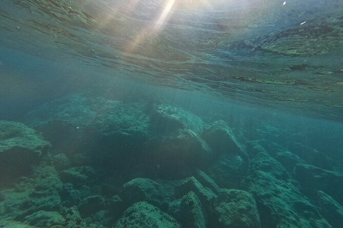 snorkeling ,Turtle Watching in Cyprus - Comfort in the Water: Towels, Cool Months, and Wetsuit Reality