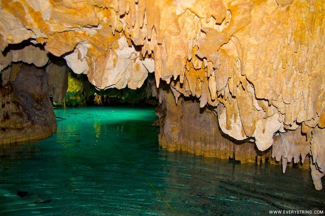 Snorkeling with Caribbean fish and private cenote exploration - Guides, Group Size, and Safety: The Stuff You Can Feel on the Day